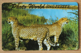 Rare Namibian Telecom Phonecard NMB11 Cheetah "Photo World" In Good Used Condition, Only For Collection Purpose - Namibië