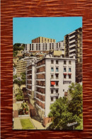 ALGERIE - ALGER : EL DJEZAIR, Rue BURDEAU, En Haut " La Cité Des Fonctionnaires". - Alger