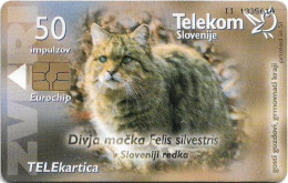 Slovenia - Telekom Slovenije - Zveri, Wild Animals - Divja Mačka, Gem5 Red, 03.2001, 50Units, 9.995ex, Used - Slovenia