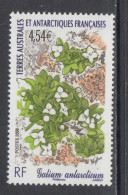 2007 French Southern And Antarctic Territory Plants Galium Complete Set Of 1  MNH - Unused Stamps