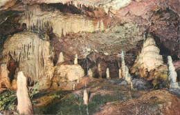 Postcard United Kingdom England Torquay Stalagmite Grotto Kent'scavern - Torquay