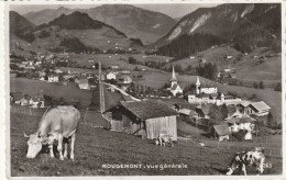 ROUGEMONT - Rougemont