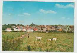 CP De CHAPELLE-LEZ-HERLAIMONT  - PANORAMA De PIETON -voir Les 2 Scans ! - Chapelle-lez-Herlaimont