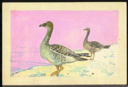 MONGOLIA(1973) Geese. Unaccepted Artwork #2 For Water Bird Series. Watercolor On Posterboard. Measures 207 X 127 Mm Plus - Mongolie