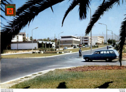 MAROC  AGADIR  Avenue Du Général Kettani - Agadir