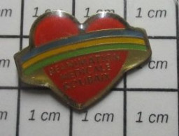 3022 Pin's Pins / Beau Et Rare / MEDICAL / REANIMATION MEDICALE ROUBAIX COEUR ROUGE - Médical