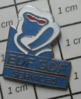 3022 Pin's Pins / Beau Et Rare / EDF GDF / SERVICES - EDF GDF