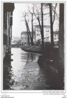 TREVISO:  PESCHERIA  -  FOTO  -  FG - Plazas De Mercados