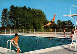 N°121406 -cpsm Aubigny Sur Nère -la Piscine- - High Diving