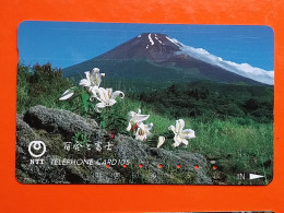 T-104 - JAPAN -JAPON, NIPON, TELECARD, PHONECARD NTT JP- 291-029 - Japan