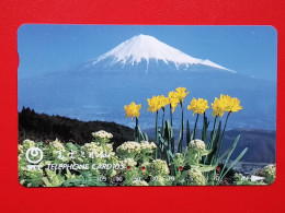 T-104 - JAPAN -JAPON, NIPON, TELECARD, PHONECARD NTT JP- 291-163 - Japan