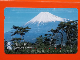 T-104 - JAPAN -JAPON, NIPON, TELECARD, PHONECARD NTT JP- 291-193 - Japon