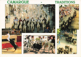Cheval Chevaux Camargue Traditions Taureaux Corrida - Chevaux
