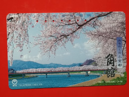 T-106 - JAPAN -JAPON, NIPON, TELECARD, PHONECARD NTT JP- 411-166 - Japan