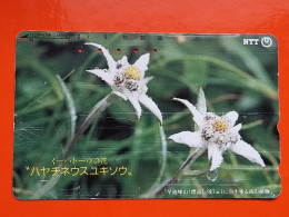 T-107 - JAPAN -JAPON, NIPON, TELECARD, PHONECARD NTT JP- 411-206 - Japon