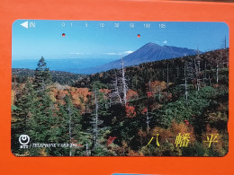 T-107 - JAPAN -JAPON, NIPON, TELECARD, PHONECARD NTT JP- 411-274 - Japan