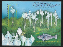 CN10 - TAAF Emission Du 1.1.2024 Bloc Feuillet " Fonds Marins En Terre Adélie Profondeur 200 Mètres " - Unused Stamps