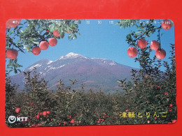 T-107 - JAPAN -JAPON, NIPON, TELECARD, PHONECARD NTT JP- 411-275 - Japan