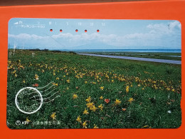 T-108 - JAPAN -JAPON, NIPON, TELECARD, PHONECARD NTT JP- 430-164 - Japan