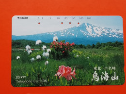 T-109 - JAPAN -JAPON, NIPON, TELECARD, PHONECARD NTT JP- 410-372 - Japon