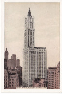 USANY 01 22 - NEW YORK - WOOLWORTH BUILDING - Manhattan