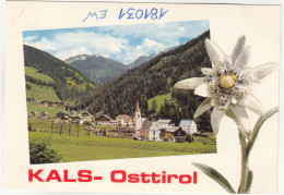 E2585) KALS -  Osttirol - Präge Edelweiß Karte - - Kals