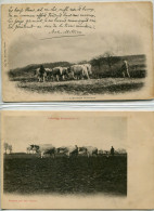 - 58 -NIEVRE Labourage.  NIVERNAIS -  1 (2cartes) - Foires