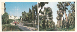 Georgia - Sukhumi - Embankment / Dendropark - 1983 -  21x9cm - Géorgie