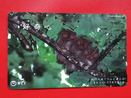 T-153 - JAPAN -JAPON, NIPON, TELECARD, PHONECARD, NTT JP 431-818 - Owl - Japon