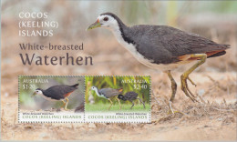 Cocos (Keeling) Islands 2023 Waterhen M/S Mint Never Hinged - Kokosinseln (Keeling Islands)