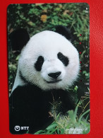 T-159 - JAPAN -JAPON, NIPON, TELECARD, PHONECARD, Animal, NTT JP 230-400, Panda Bear, Ours - Japan