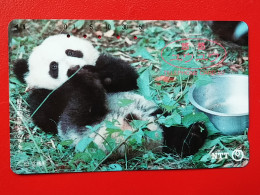 T-159 - JAPAN -JAPON, NIPON, TELECARD, PHONECARD, Animal, NTT JP 230-154, Panda Bear, Ours - Japan