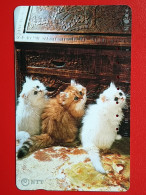 T-160 - JAPAN -JAPON, NIPON, TELECARD, PHONECARD, Animal, Cat, Chat, Katze NTT JP 331-268 - Japan