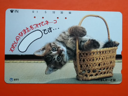 T-160 - JAPAN -JAPON, NIPON, TELECARD, PHONECARD, Animal, Cat, Chat, Katze NTT JP 250-415 - Japan