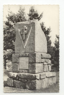 66/CPSM - Environs De Céret - Fondrède - Le Monument - Ceret