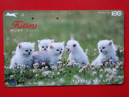 T-160 - JAPAN -JAPON, NIPON, TELECARD, PHONECARD, Animal, Cat, Chat, Katze NTT JP 250-206 - Japan