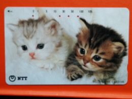 T-161 - JAPAN -JAPON, NIPON, TELECARD, PHONECARD, Animal, Cat, Chat, Katze NTT JP 111-083 - Japon