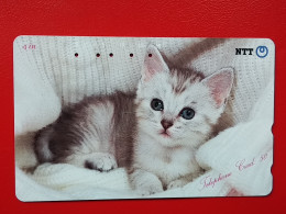 T-161 - JAPAN -JAPON, NIPON, TELECARD, PHONECARD, Animal, Cat, Chat, Katze NTT JP 290-215 - Japon