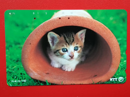 T-161 - JAPAN -JAPON, NIPON, TELECARD, PHONECARD, Animal, Cat, Chat, Katze NTT JP 231-185 - Japon