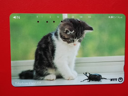 T-161 - JAPAN -JAPON, NIPON, TELECARD, PHONECARD, Animal, Cat, Chat, Katze NTT JP 111-066 - Japan