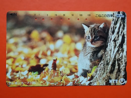 T-161 - JAPAN -JAPON, NIPON, TELECARD, PHONECARD, Animal, Cat, Chat, Katze NTT JP 111-029 - Japan