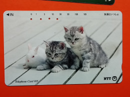 T-161 - JAPAN -JAPON, NIPON, TELECARD, PHONECARD, Animal, Cat, Chat, Katze NTT JP 111-088 - Japan