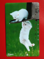 T-161 - JAPAN -JAPON, NIPON, TELECARD, PHONECARD, Animal, Cat, Chat, Katze NTT JP 231-243 - Japon