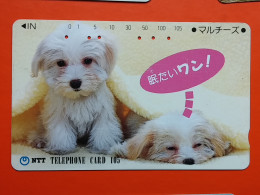 T-163 - JAPAN -JAPON, NIPON, TELECARD, PHONECARD, Animal, Dog, Chien, Hund NTT JP 330-320 - Japon