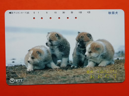 T-163 - JAPAN -JAPON, NIPON, TELECARD, PHONECARD, Animal, Dog, Chien, Hund NTT JP 111-259 - Japon