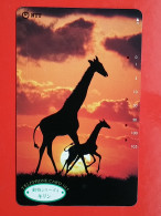 T-166 - JAPAN -JAPON, NIPON, TELECARD, PHONECARD, Animal,  NTT JP 231-151 Giraffe, Girafe - Japan