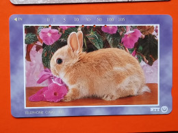 T-166 - JAPAN -JAPON, NIPON, TELECARD, PHONECARD, Animal,  NTT JP 231-291 Rabbit, Lapin - Japon