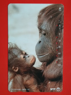 T-167 - JAPAN -JAPON, NIPON, TELECARD, PHONECARD, Animal,  NTT JP 231-235 Monkey - Japon