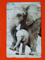 T-168 - JAPAN -JAPON, NIPON, TELECARD, PHONECARD, Animal,  NTT JP 231-251 Elephant - Andere & Zonder Classificatie