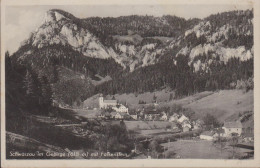 AUTRICHE BASSE AUTRICHE  SCHWARZAU IM GEBIRGE 618 M. MIT FALKENSTEIN - Neunkirchen